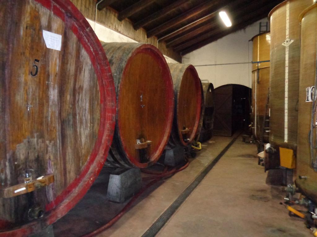 فيلا Gran Collina San Damiano dʼAsti المظهر الخارجي الصورة
